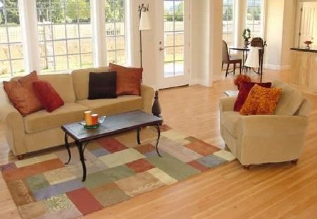 HOG on how to keep your house clean and your family healthy