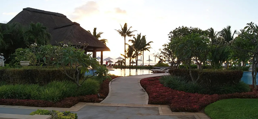 Garden Man Cave Ideas: The Ultimate Escape in Your Garden