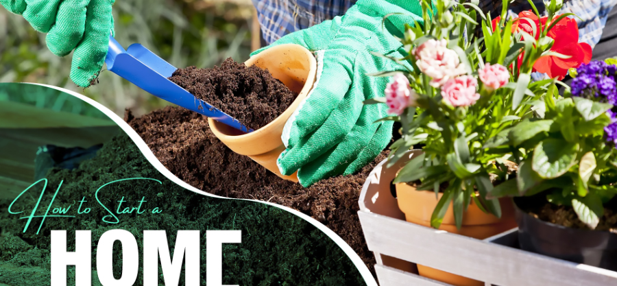 How to Start a Home Garden: Tools, Soil & Plant Guide