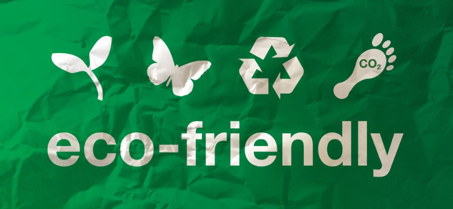 The Future of Sustainable Living: How Eco-Friendly Appliances are Shaping Homes