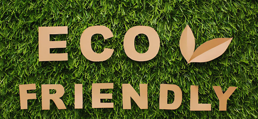 Eco-Wellness: How Sustainable Living Contributes to Your Health