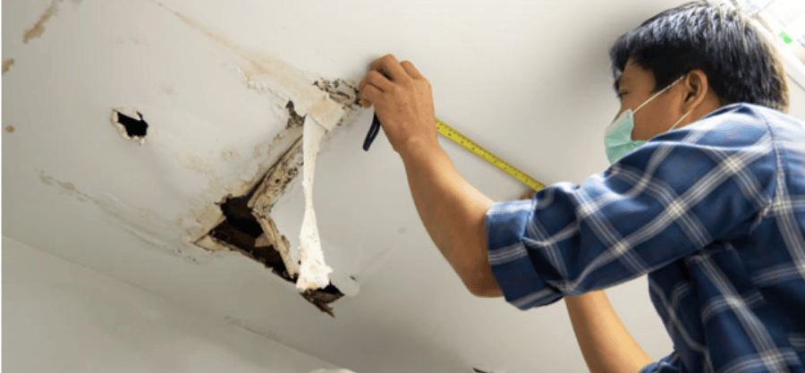 Restoring More Than Walls: The Heartfelt Craft of Water Damage Recovery