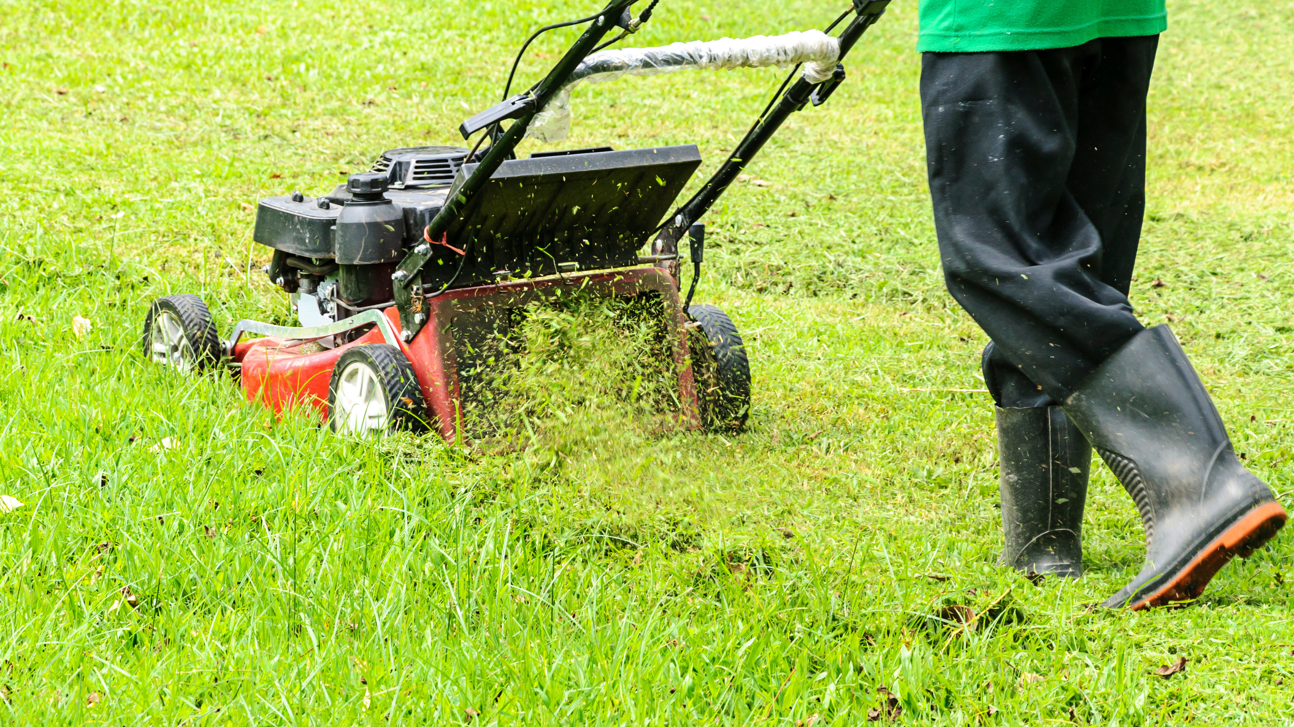Lawn Mowing in Tauranga: A Homeowner's Honest Guide to Year-Round Care