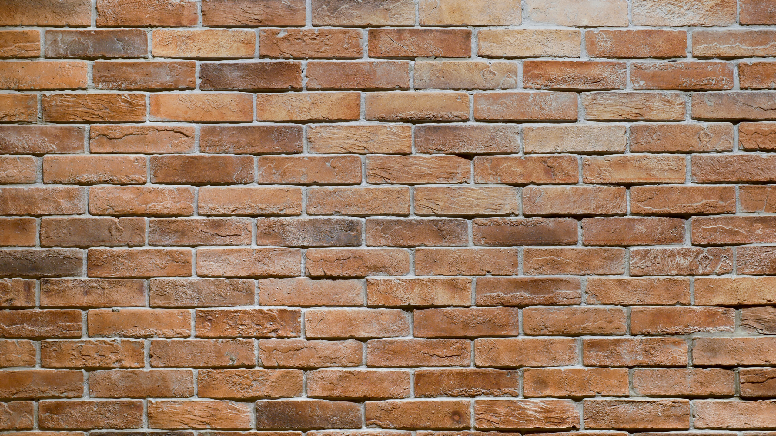 Best Wall Materials for Humid Climates and Tropical Homes