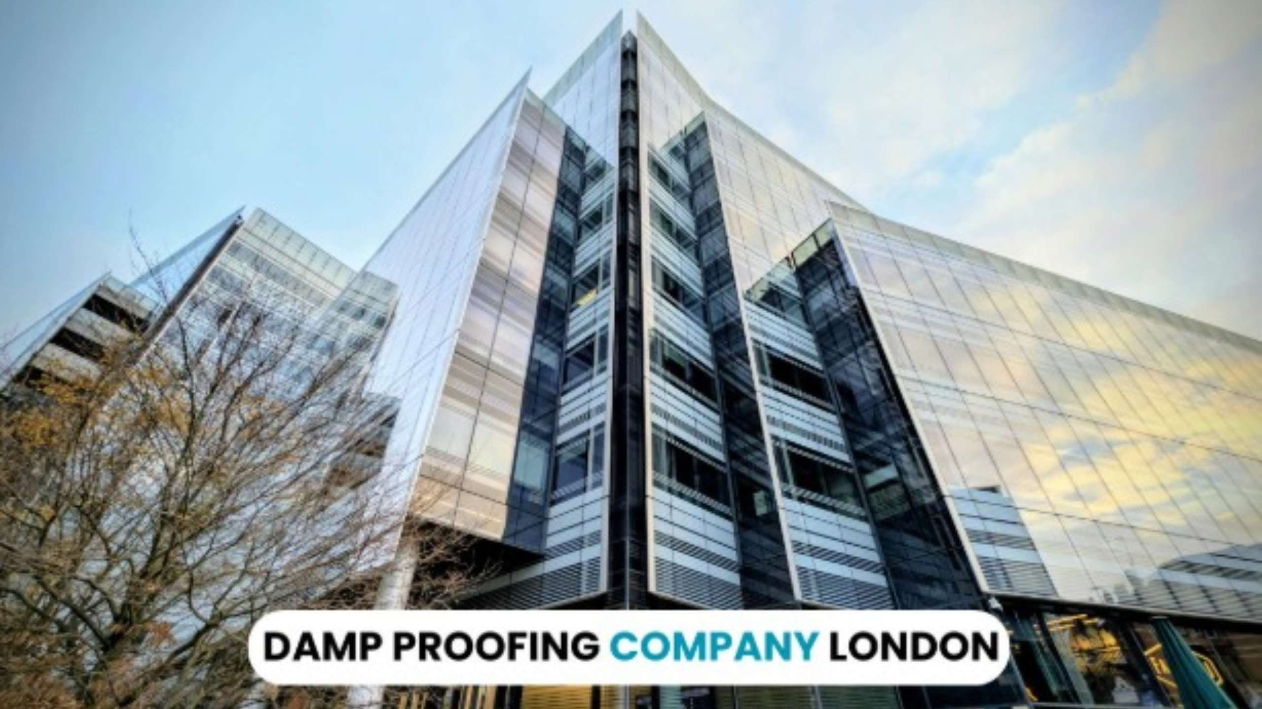Why Choosing the Right Damp Proofing Company in London Matters