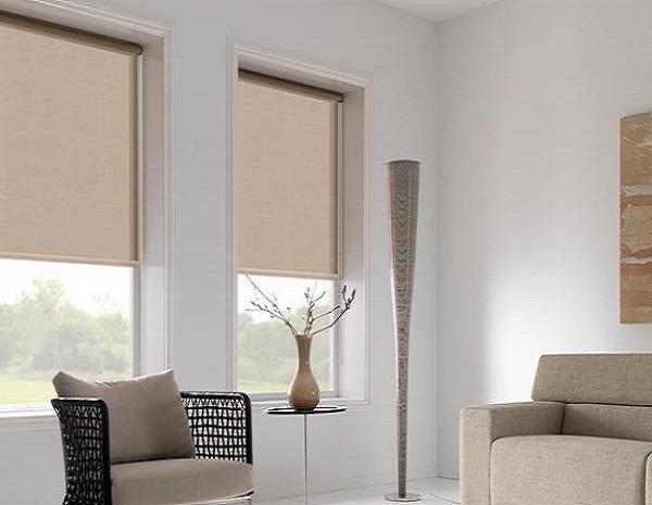 HOG thought on your preferred choice between  blinds or curtain