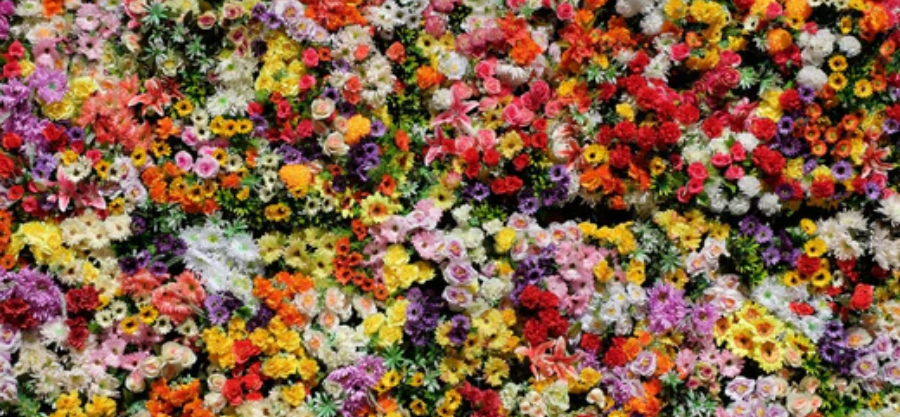 Exploring Niche Perfumery: Unveiling Hidden Gems inside the Fragrance World