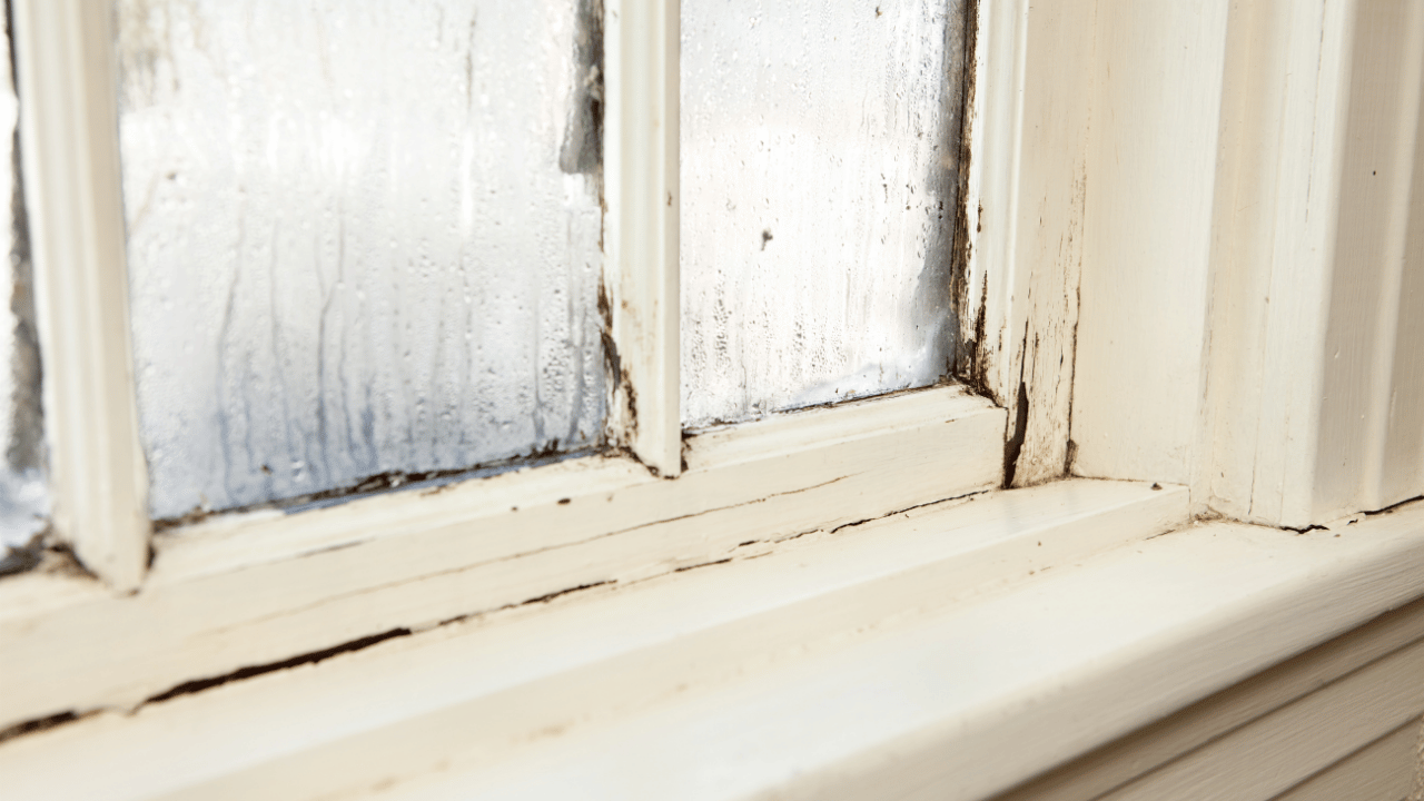 What are the signs that home windows need replacement?