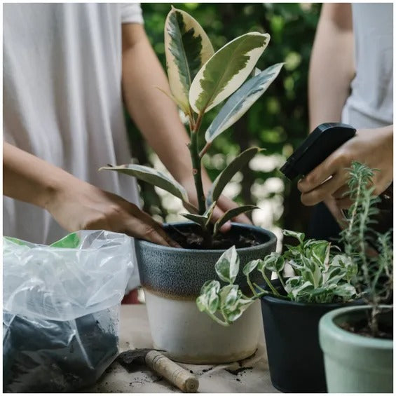 HOG idea on how gardening make you a better writer