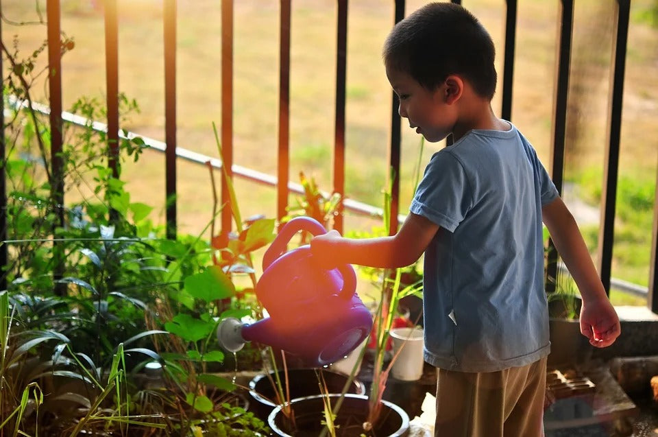 HOG tips on how to start school garden