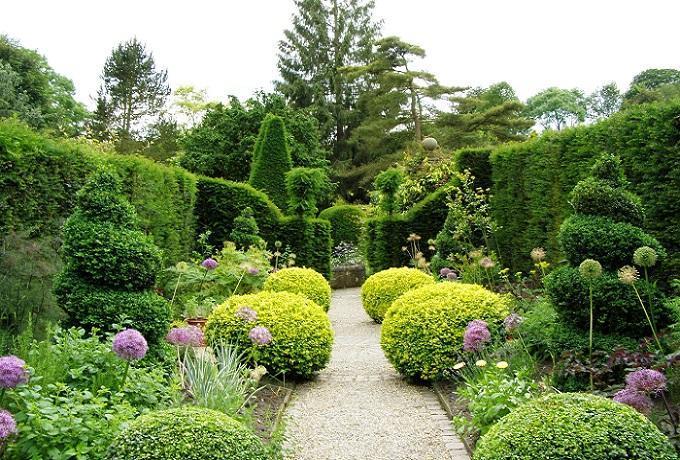 HOG on- A garden beauty in homes