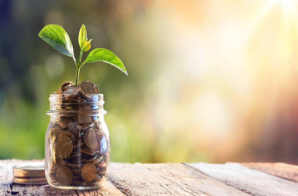 HOG SAVE MONEY AROUND HOME