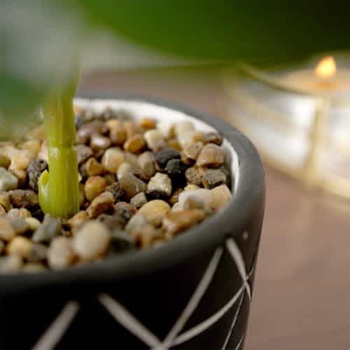 Farmhouse Artificial Monstera Plant In Cement Pot Decorative - 38 Cm