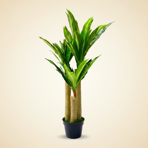 Artificial Dracaena Plant | 100cm Height. @HOG - Home Office Garden Online Marketplace