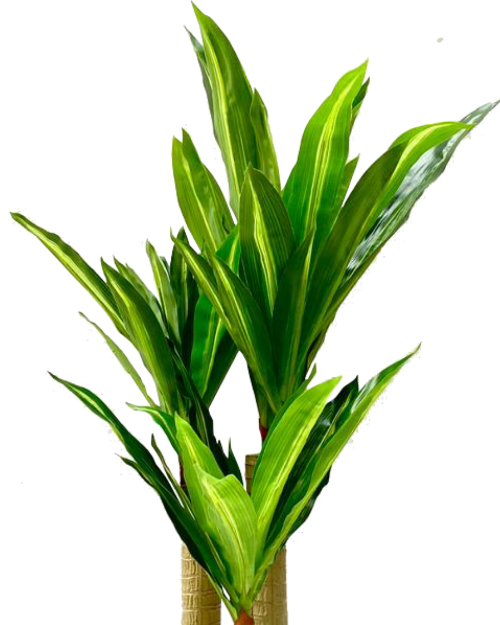 Artificial Dracaena Plant | 100cm Height. @HOG - Home Office Garden Online Marketplace