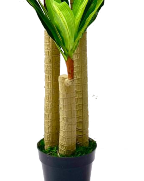 Artificial Dracaena Plant | 100cm Height. @HOG - Home Office Garden Online Marketplace