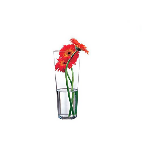 Botanica Flower Vase (2pcs) 260mm. Home Office Garden | HOG-HomeOfficeGarden | online marketplace