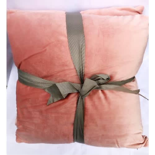 Country Club 2pc Embossed Velvet Throw Pillows - Pink. Home Office Garden | HOG-HomeOfficeGarden | online marketplace