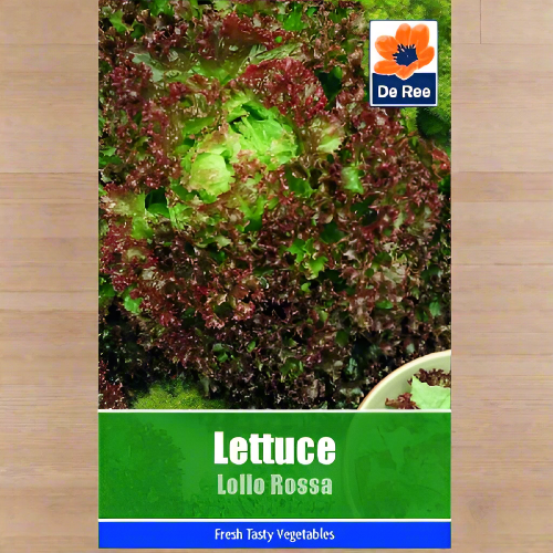 De Ree Lettuce Lollo Rossa @HOG - Home Office Garden Online Marketplace