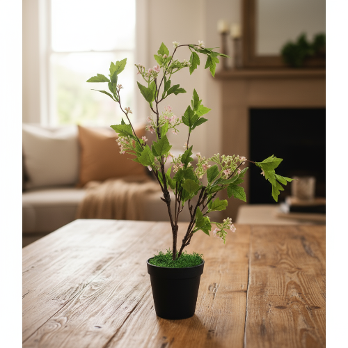 European Cranberry 55cm. @HOG - Home Office Garden Online Marketplace