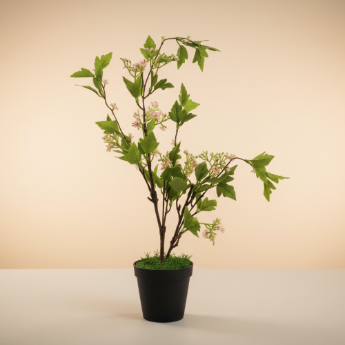 European Cranberry 55cm. @HOG - Home Office Garden Online Marketplace