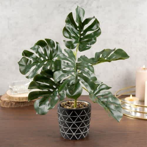 Farmhouse Artificial Monstera Plant In Cement Pot Decorative - 38 Cm @ HOG