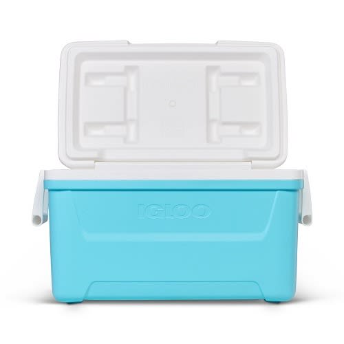 Igloo Laguna Hard Sided Ice Chest Cooler - 48 Qt - Aqua Blue And White. Home Office Garden | HOG-HomeOfficeGarden | online marketplace