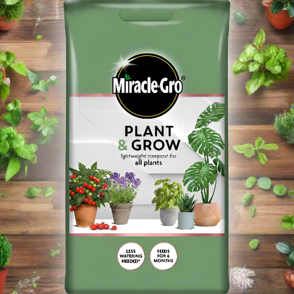 Miracle-Gro Plant & Grow 6L Home Office Garden | HOG-HomeOfficeGarden | online marketplace