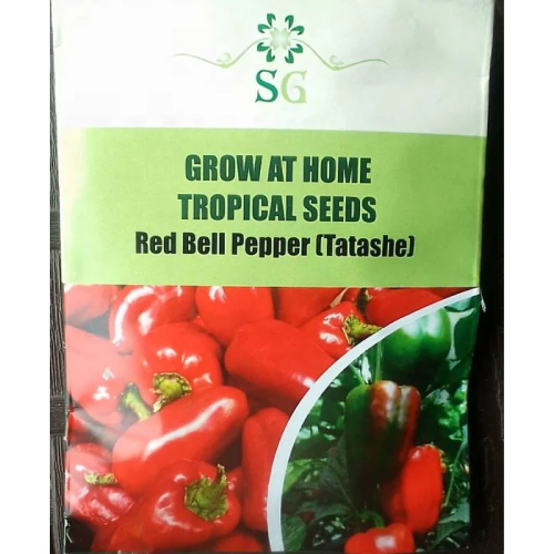 SG Tropical Seeds Red Bell Pepper (Tatashe)Home Office Garden | HOG-Home Office Garden | HOG-Home Office Garden 