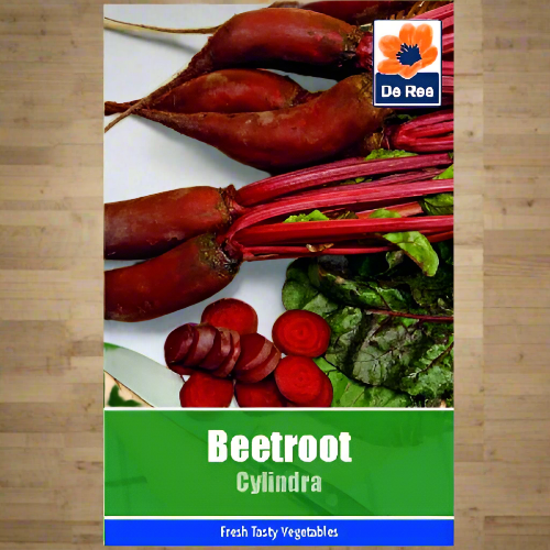 De Ree Beetroot Cylindra Home Office Garden | HOG-HomeOfficeGarden | online marketplace