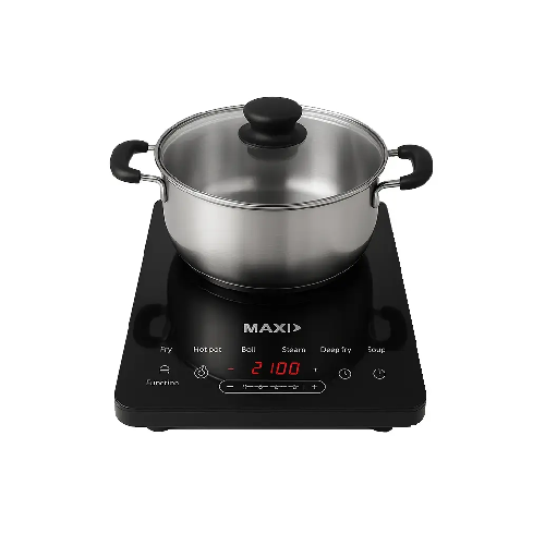 Maxi Induction Cooker 2100 Watts LED Display (WT2103C)