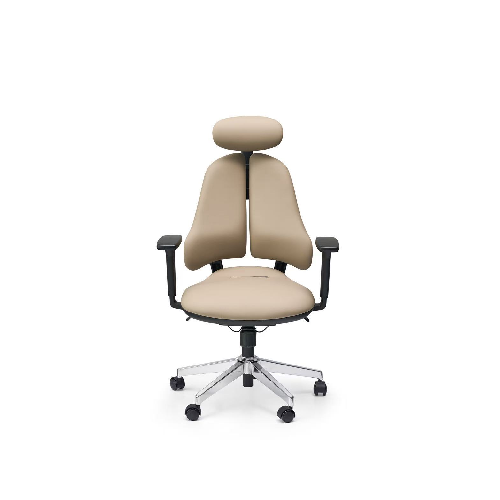 Ergonomic Office Chair