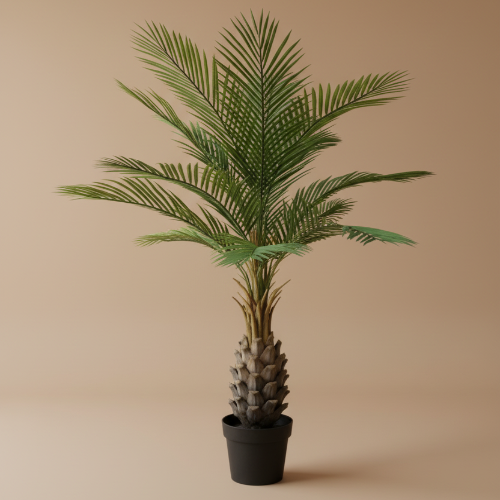 Palm Tree Plant Only 160cm Home Office Garden | HOG-HomeOfficeGarden | online marketplace