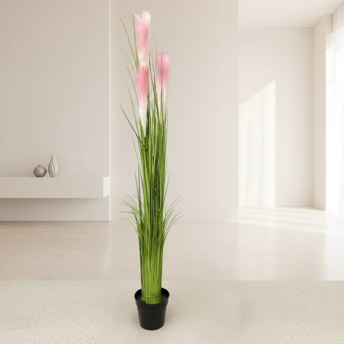 Reed Plant with Pink Flowers Only. @HOG - Home Office Garden Online Marketplace