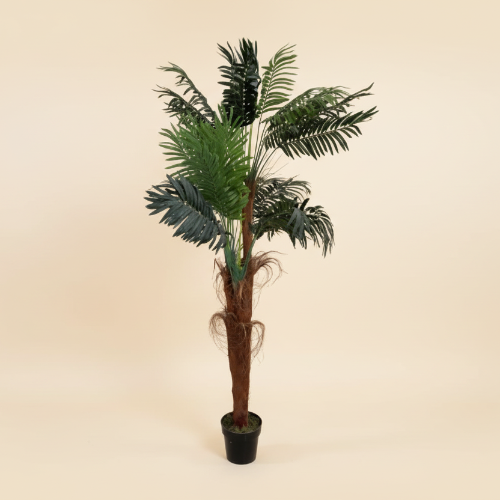 SHEATH PALM Home Office Garden | HOG-Home Office Garden | online marketplace