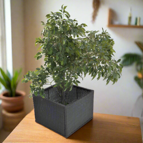 Straight Rattan Planter Box. @HOG - Home Office Garden Online Marketplace