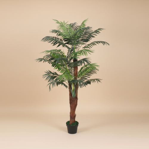 Three Stem Sheath Palm. @HOG - Home Office Garden Online Marketplace