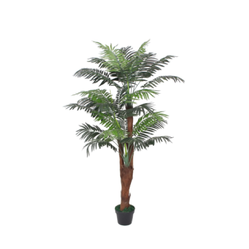 Three Stem Sheath Palm. @HOG - Home Office Garden Online Marketplace