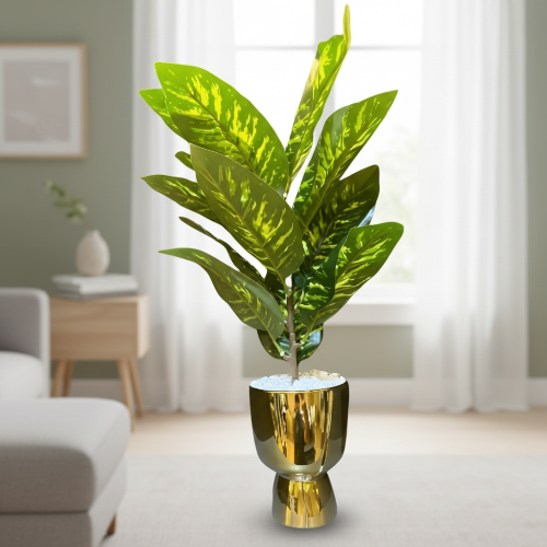 Variegated Indoor Plant in Gold Hourglass Pot @HOG - Home, Office, Online Marketplace
