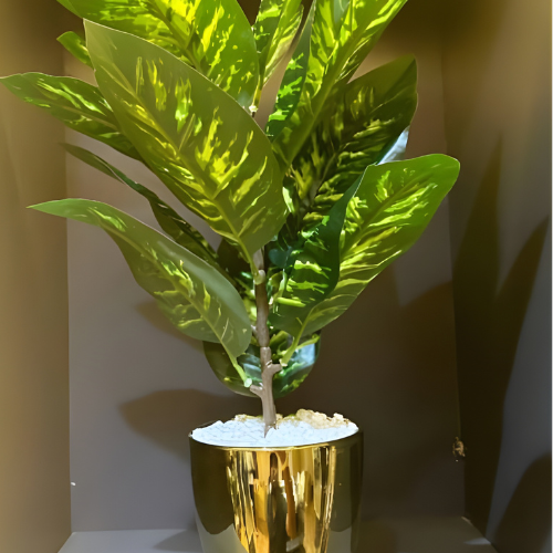 Variegated Indoor Plant in Gold Hourglass Pot @HOG - Home, Office, Online Marketplace