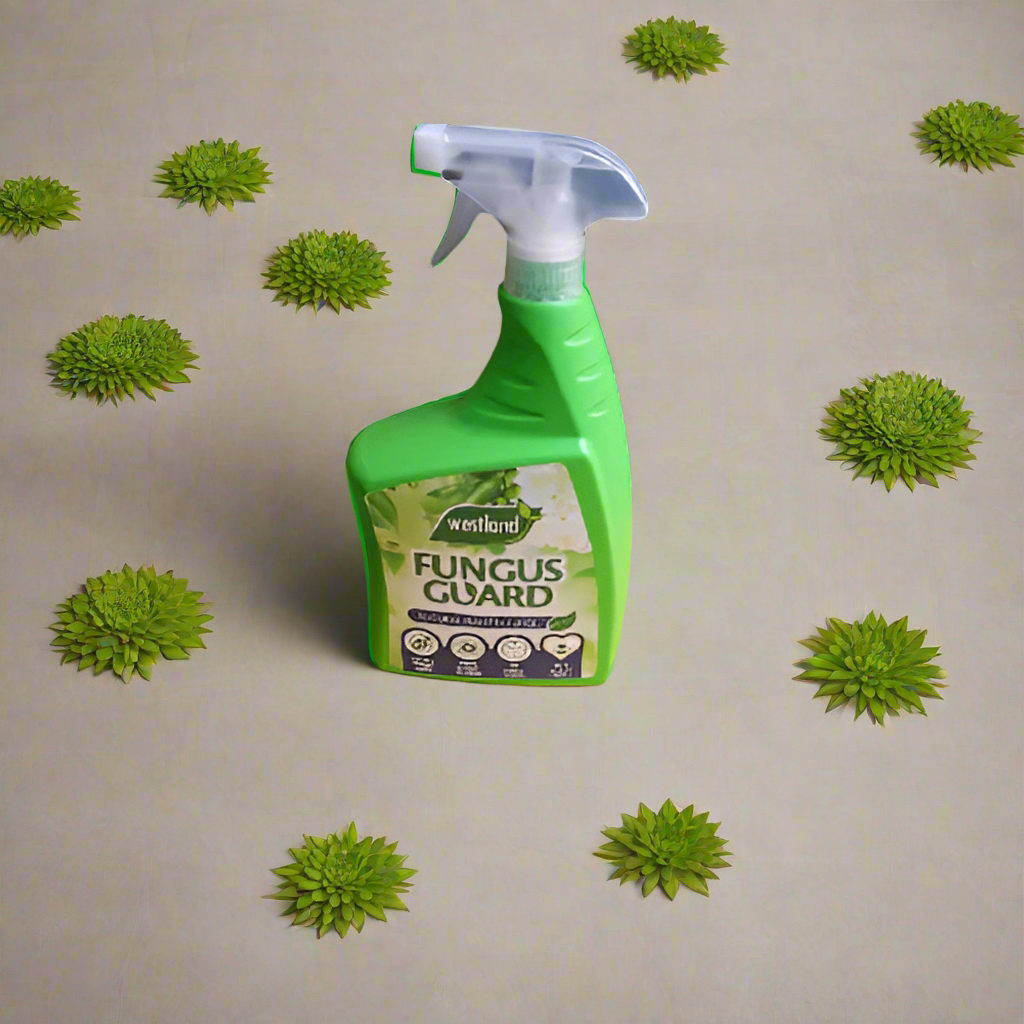 Westland Fungus Guard Home Office Garden | HOG-HomeOfficeGarden | online marketplace