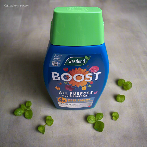 Westland Multipurpose Liquid Plant Feed Home Office Garden | HOG-HomeOfficeGarden | online marketplace