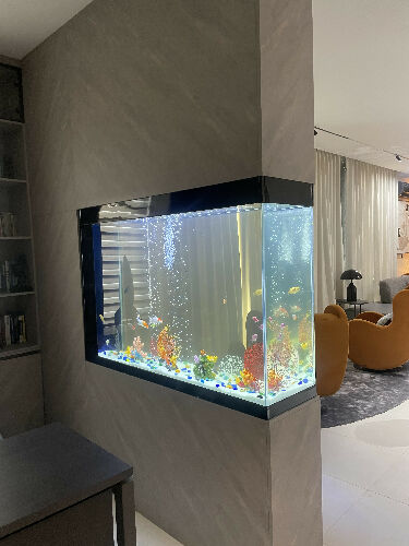 Wall Aquarium
