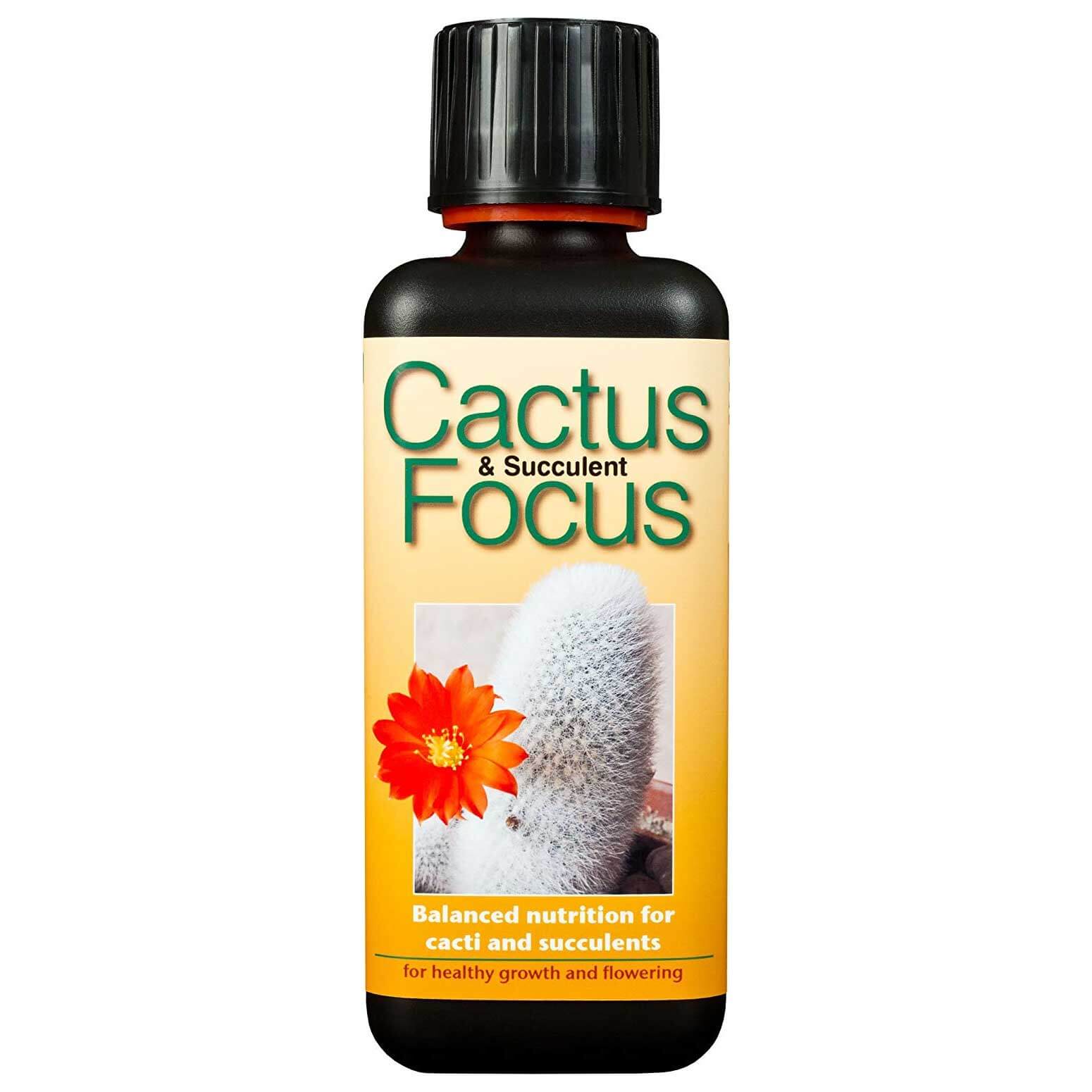 Cactus Focus 300ml Home Office Garden | HOG-HomeOfficeGarden | online marketplace