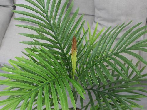 Artificial Palm Plants | 120cm. @HOG - Home Office Garden Online Marketplace