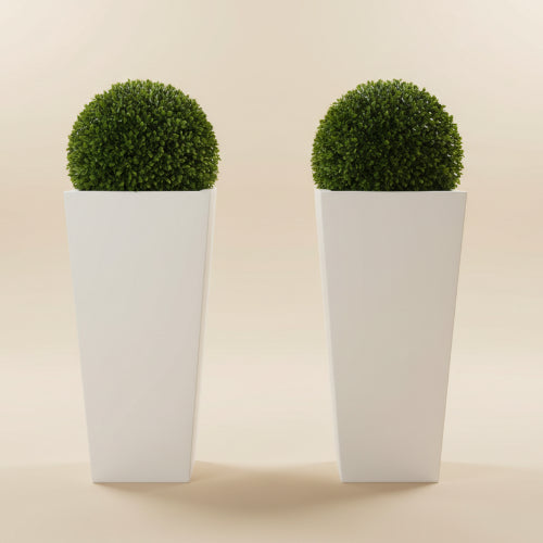 Ball Boxwood + Fiber pot Home Office Garden | HOG-HomeOfficeGarden | online marketplace