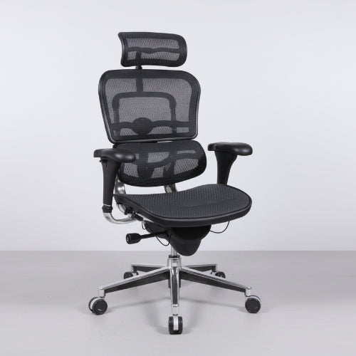 Ergohuman Classic Comfort Mesh Chair @HOG - Home Office Garden Online Marketplace