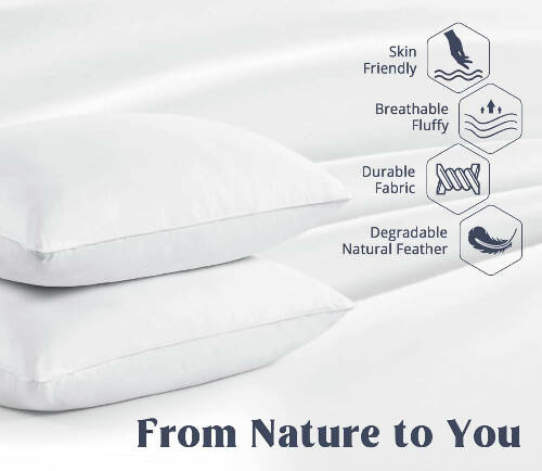 Goose Feather Luxury Pillow (Two Piece). @HOG - Home Office Garden Online Marketplace