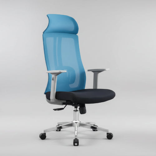 Marina Ergonomic Mesh & Fabric Chair @HOG - Home Office Garden Online Marketplace