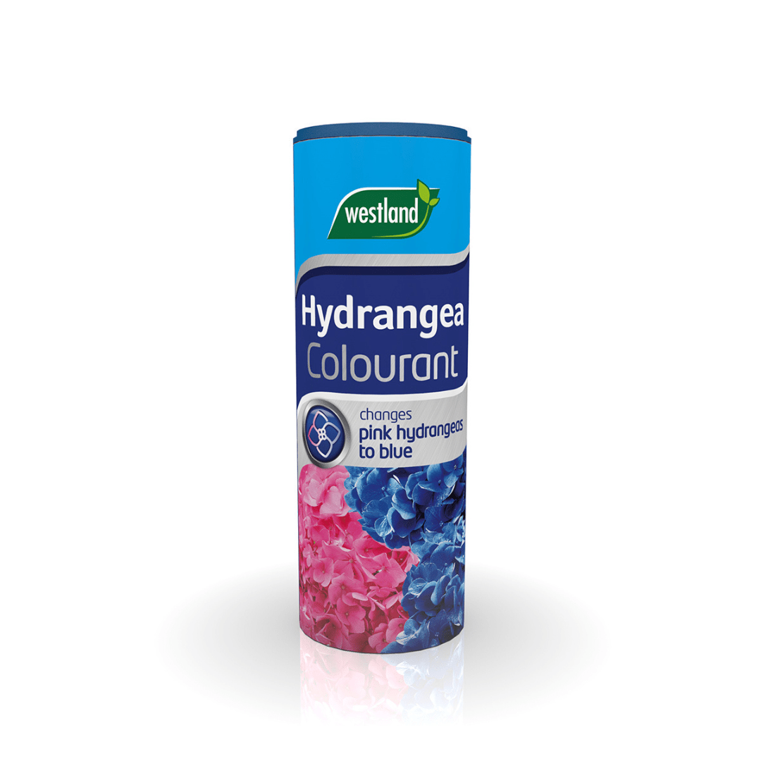 Westland Hydrangea Colourant Home Office Garden | HOG-HomeOfficeGarden | online marketplace